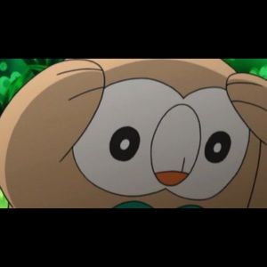 Meet your Posher, Jing